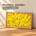 Islandmoos Zitronengelb, Zitronengelb, 500 g – im Einsatz