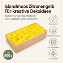 Islandmoos Zitronengelb, Zitronengelb, 500 g – Eigenschaften im Überblick