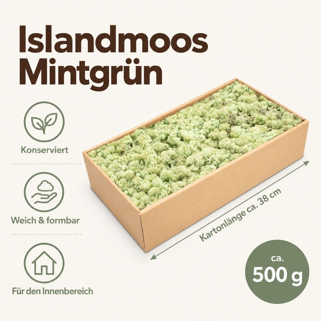 Islandmoos Mintgrün, Mintgrün, 500 g – Maße und Liefermenge auf einen Blick