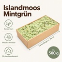 Islandmoos Mintgrün, Mintgrün, 500 g – Maße und Liefermenge auf einen Blick