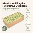 Islandmoos Mintgrün, Mintgrün, 500 g – Eigenschaften im Überblick