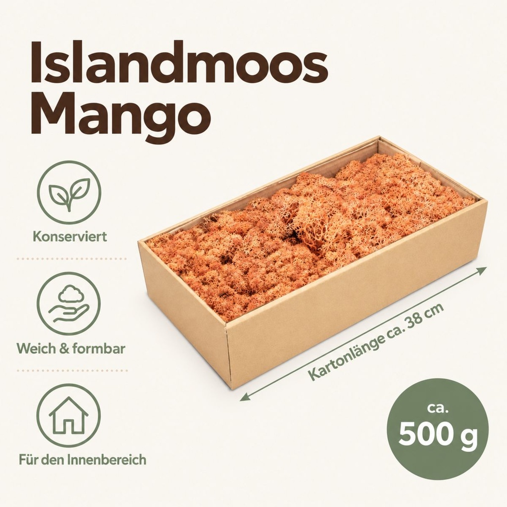Islandmoos Mango, Mango, 500 g – Maße und Liefermenge auf einen Blick