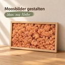 Islandmoos Mango, Mango, 500 g – im Einsatz