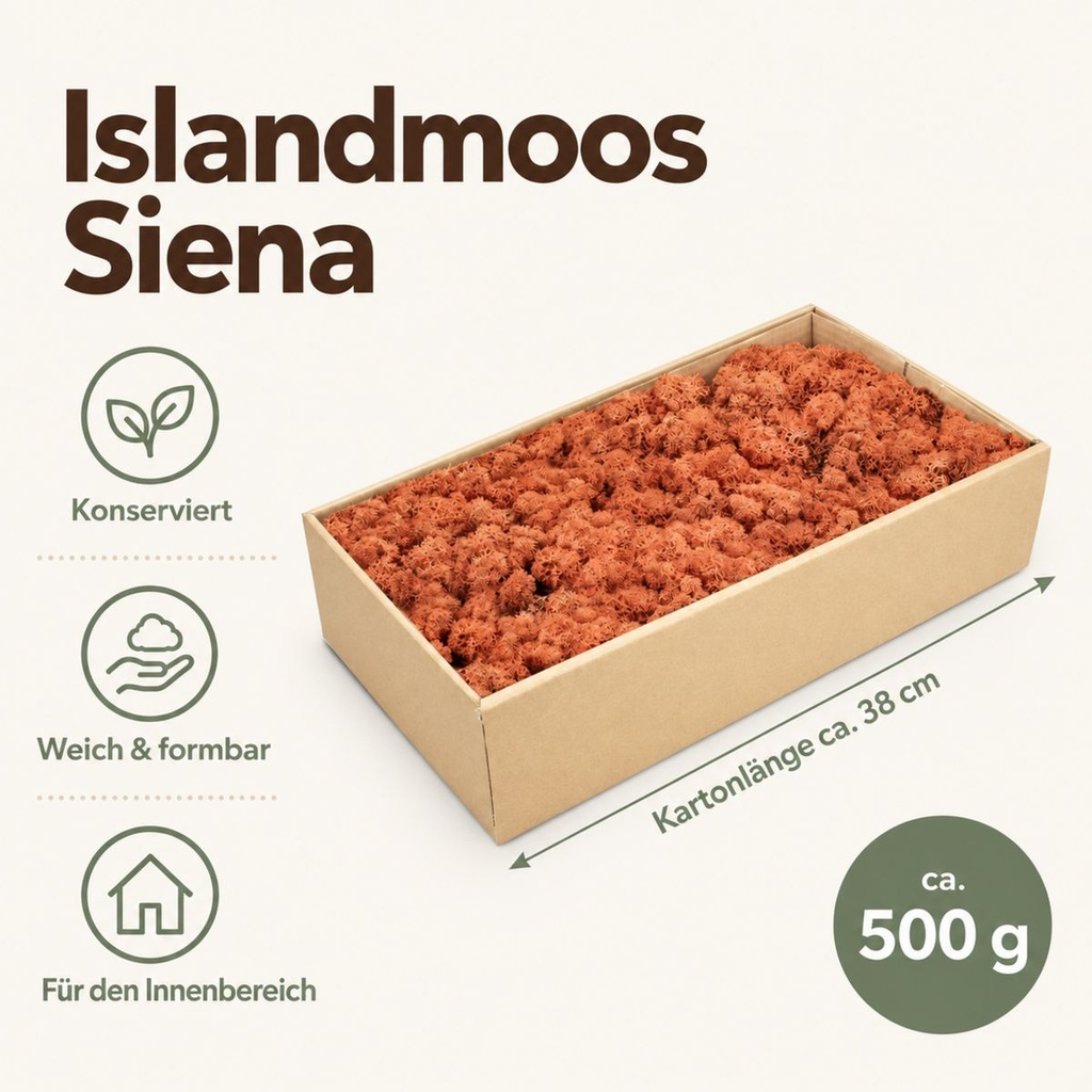 Islandmoos Siena, Siena, 500 g – Maße und Liefermenge auf einen Blick