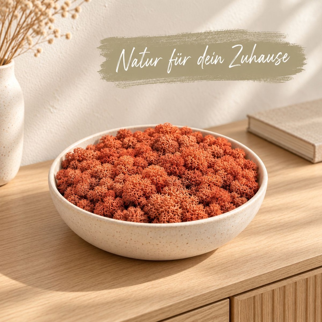 Islandmoos Siena, Siena, 500 g – dekoriert im Wohnraum