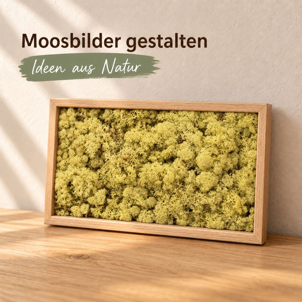 Islandmoos Kiwi, Kiwi, 500 g – im Einsatz