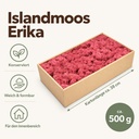 Islandmoos Erika, Erika, 500 g – Maße und Liefermenge auf einen Blick