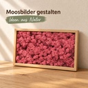 Islandmoos Erika, Erika, 500 g – im Einsatz