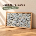 Islandmoos Eisblau, Eisblau, 500 g – im Einsatz