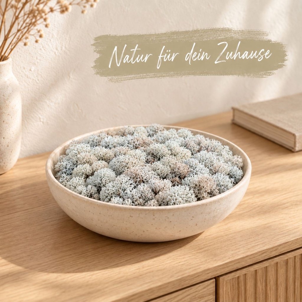 Islandmoos Eisblau, Eisblau, 500 g – dekoriert im Wohnraum