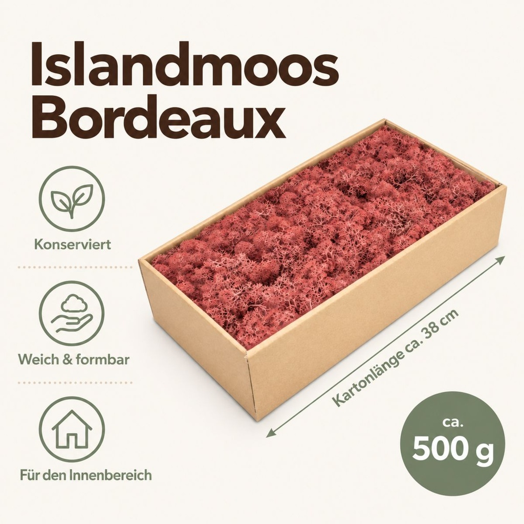 Islandmoos Bordeaux, Bordeaux, 500 g – Maße und Liefermenge auf einen Blick