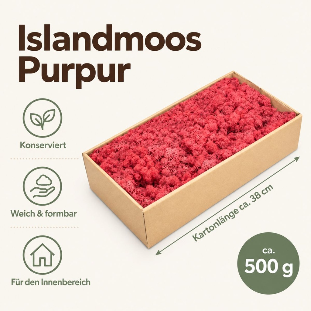 Islandmoos Purpur, Purpur, 500 g – Maße und Liefermenge auf einen Blick