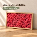 Islandmoos Purpur, Purpur, 500 g – im Einsatz