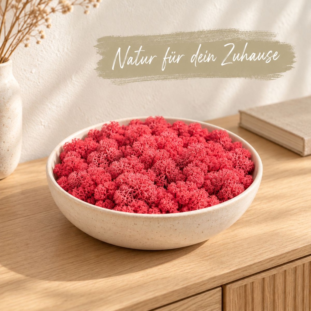 Islandmoos Purpur, Purpur, 500 g – dekoriert im Wohnraum