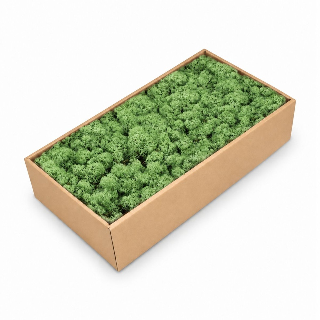 Islandmoos Grasgrün, Grasgrün, 500 g – Produktfoto auf weißem Hintergrund