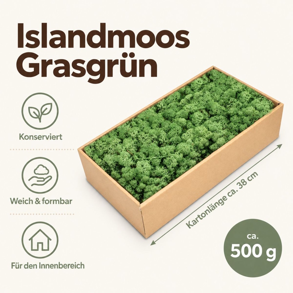 Islandmoos Grasgrün, Grasgrün, 500 g – Maße und Liefermenge auf einen Blick
