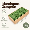 Islandmoos Grasgrün, Grasgrün, 500 g – Maße und Liefermenge auf einen Blick
