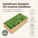 Islandmoos Grasgrün, Grasgrün, 500 g – Eigenschaften im Überblick