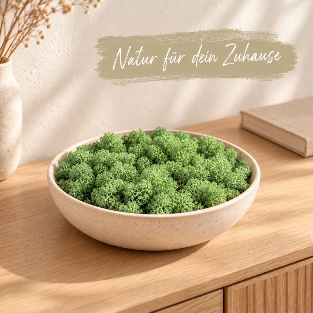Islandmoos Grasgrün, Grasgrün, 500 g – dekoriert im Wohnraum