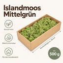 Islandmoos Mittelgrün, Mittelgrün, 500 g – Maße und Liefermenge auf einen Blick
