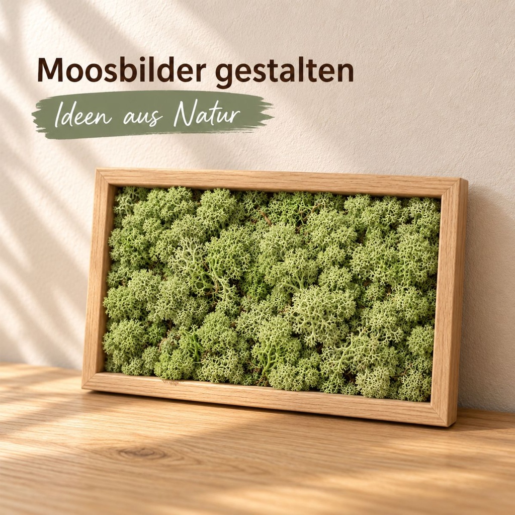 Islandmoos Mittelgrün, Mittelgrün, 500 g – im Einsatz