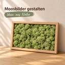 Islandmoos Mittelgrün, Mittelgrün, 500 g – im Einsatz