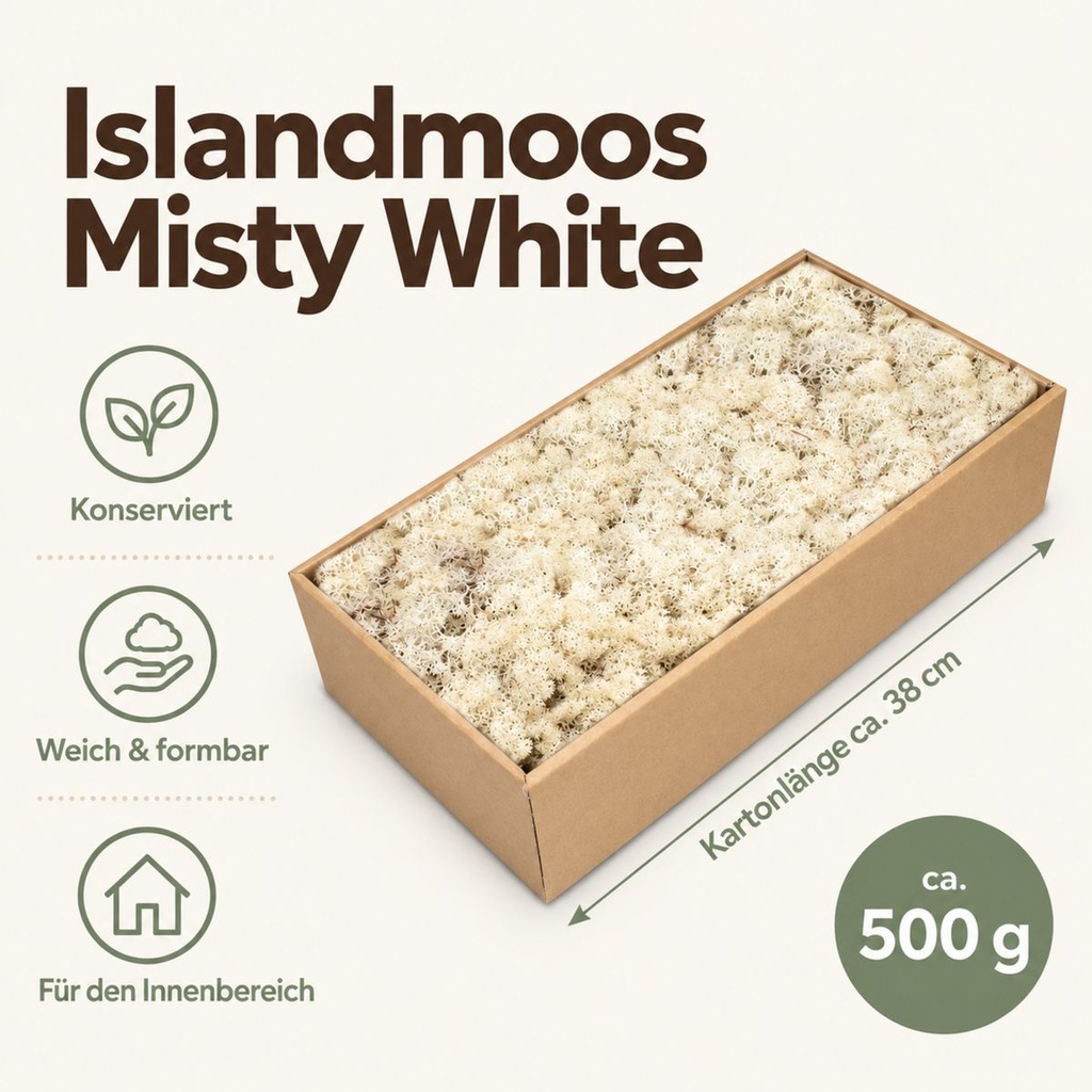 Islandmoos Misty White, Misty White, 500 g – Maße und Liefermenge auf einen Blick