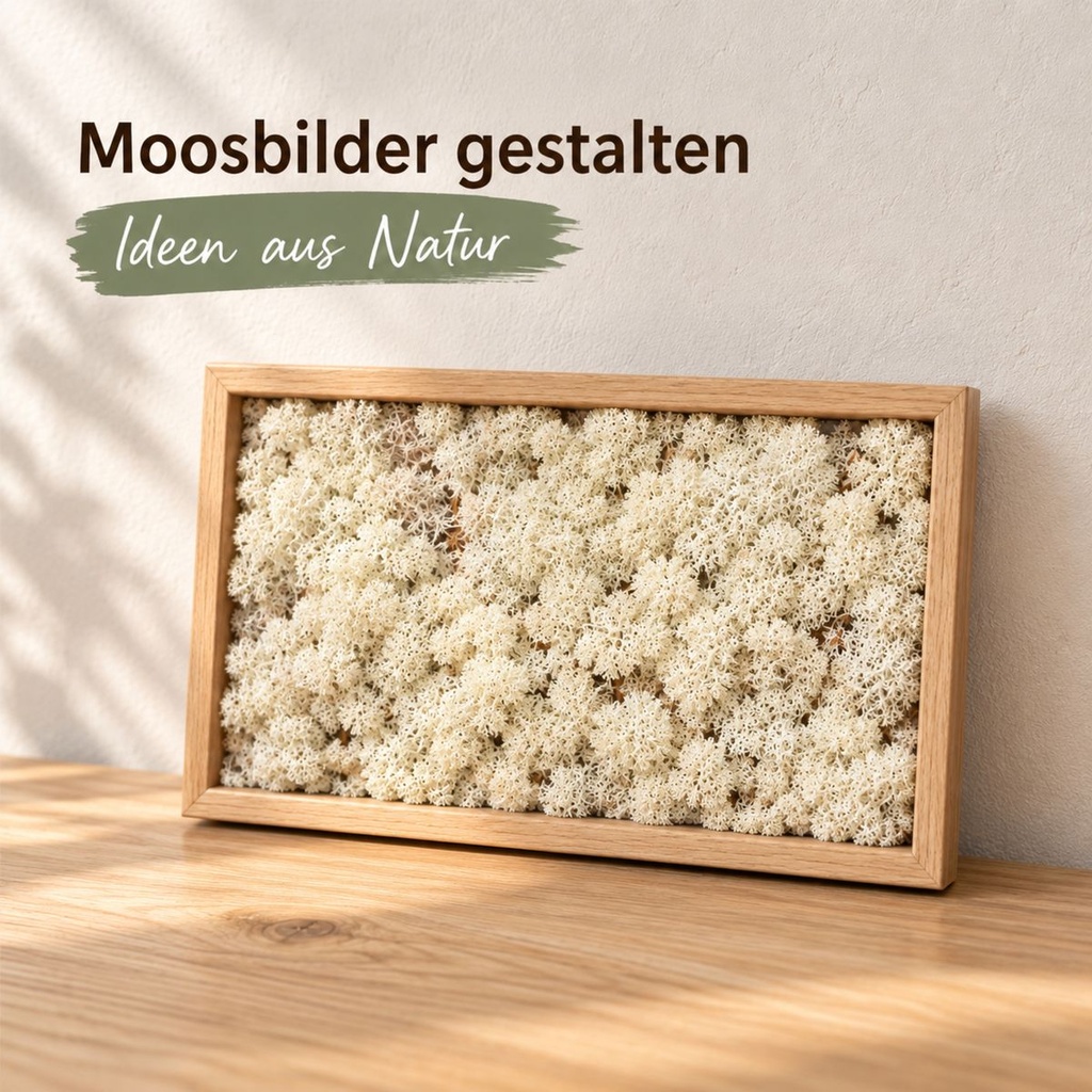 Islandmoos Misty White, Misty White, 500 g – im Einsatz