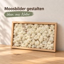 Islandmoos Misty White, Misty White, 500 g – im Einsatz