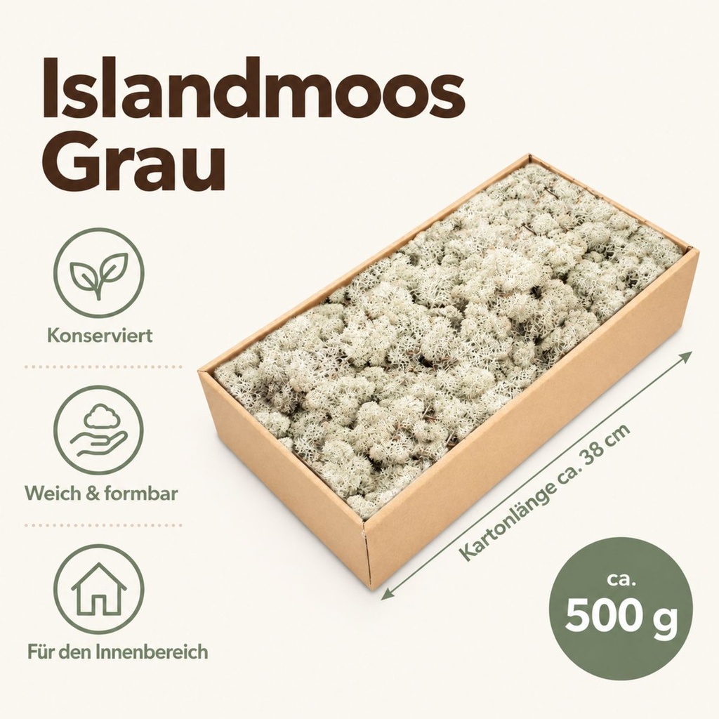 Islandmoos Grau, Grau, 500 g – Maße und Liefermenge auf einen Blick