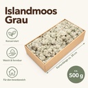 Islandmoos Grau, Grau, 500 g – Maße und Liefermenge auf einen Blick