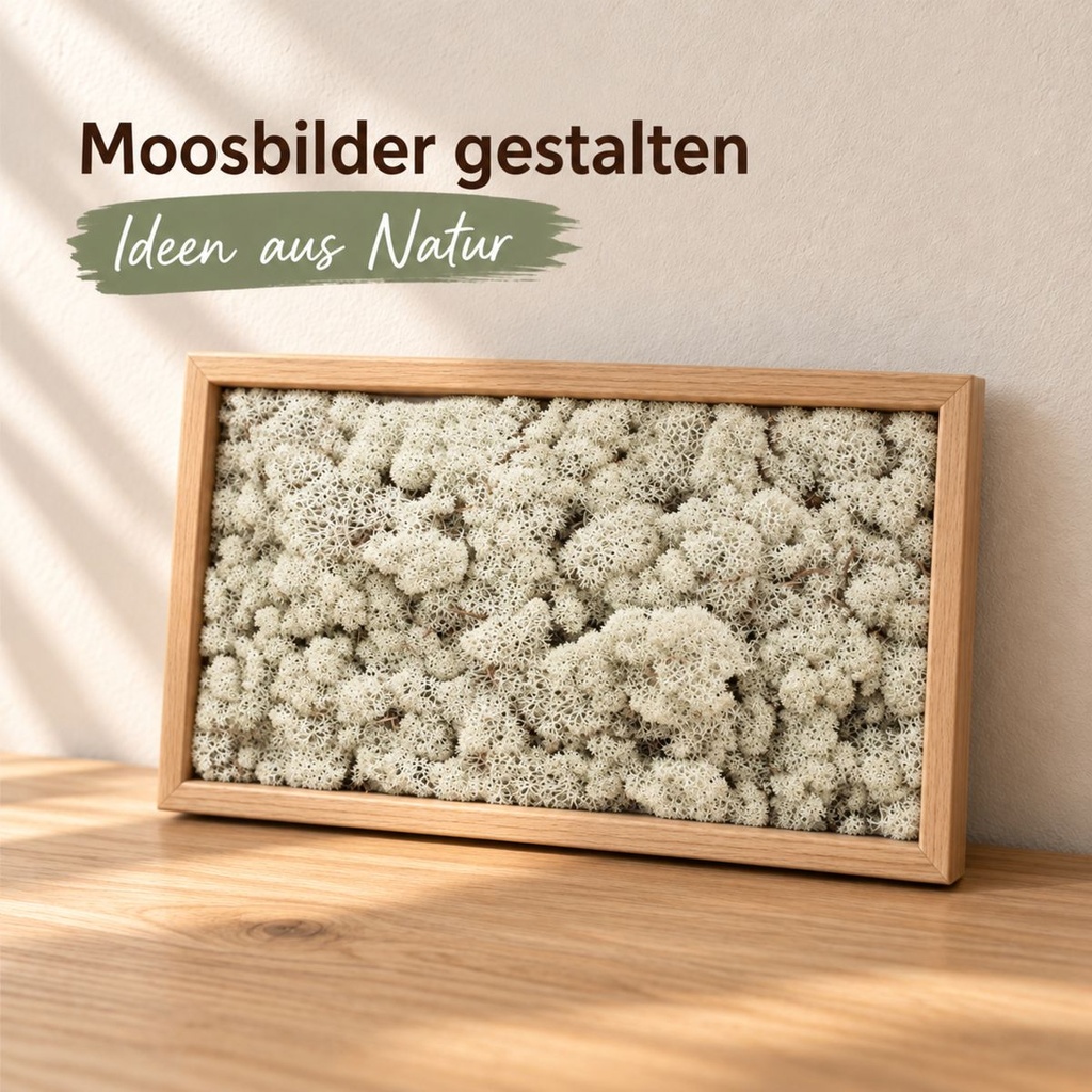 Islandmoos Grau, Grau, 500 g – im Einsatz