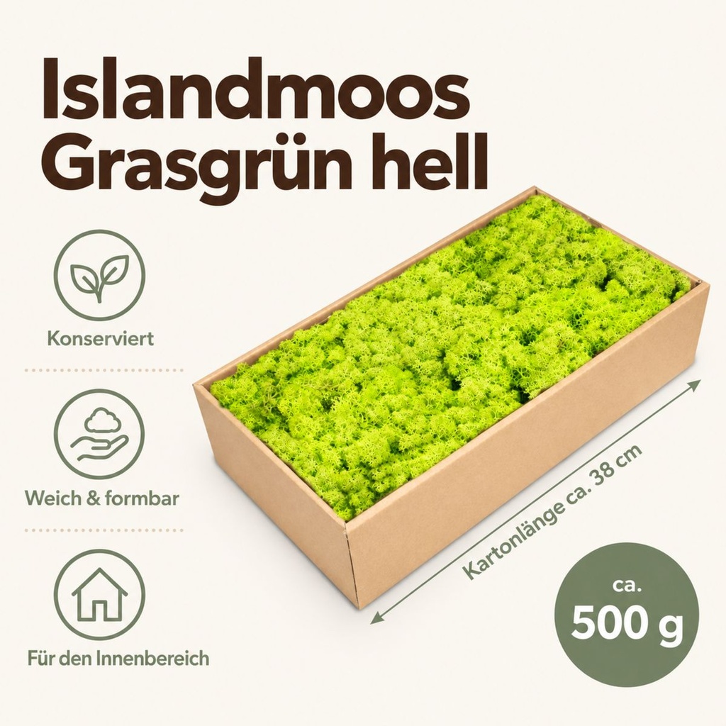 Islandmoos Grasgrün hell, Grasgrün hell, 500 g – Maße und Liefermenge auf einen Blick