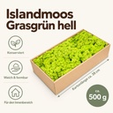 Islandmoos Grasgrün hell, Grasgrün hell, 500 g – Maße und Liefermenge auf einen Blick