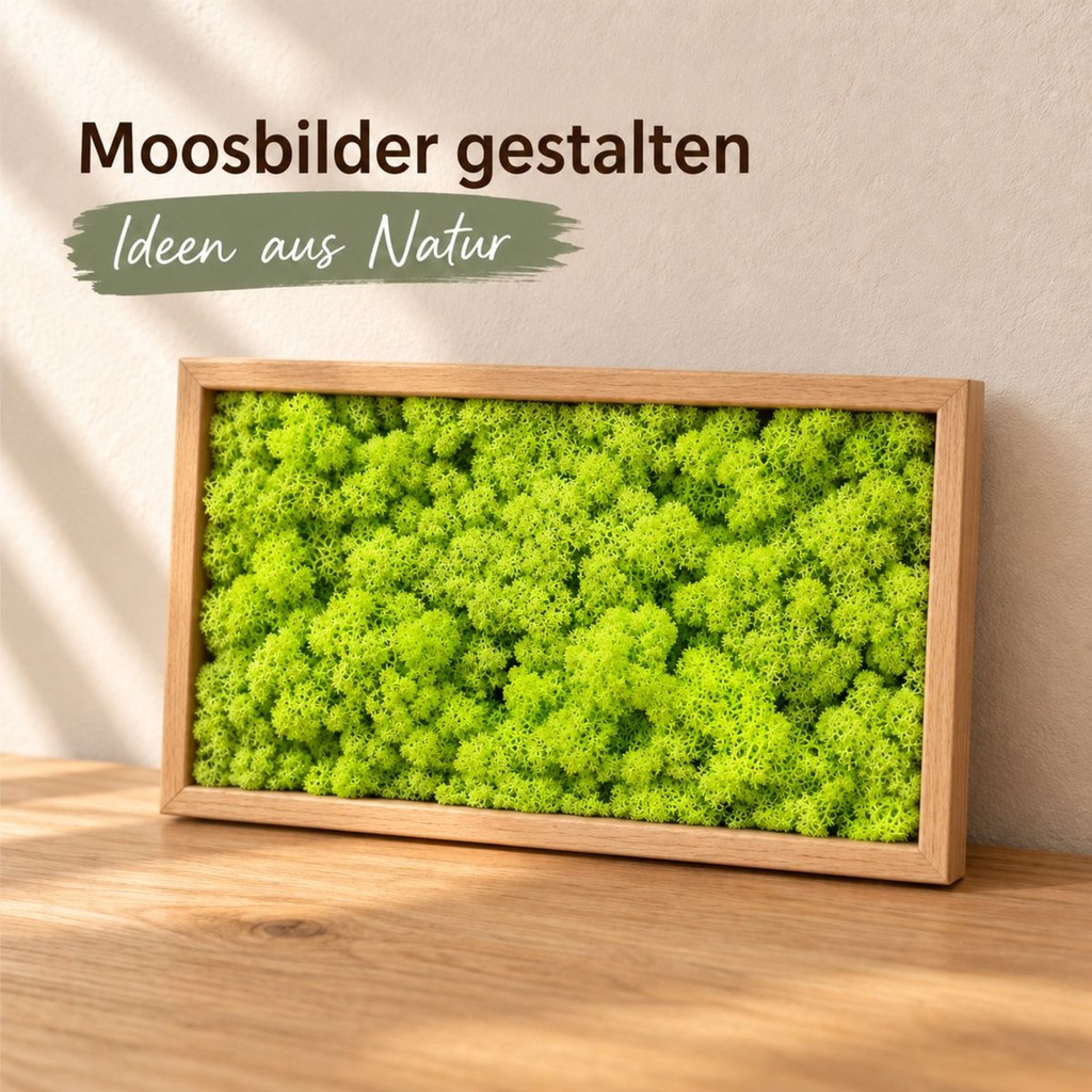 Islandmoos Grasgrün hell, Grasgrün hell, 500 g – im Einsatz