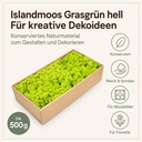 Islandmoos Grasgrün hell, Grasgrün hell, 500 g – Eigenschaften im Überblick