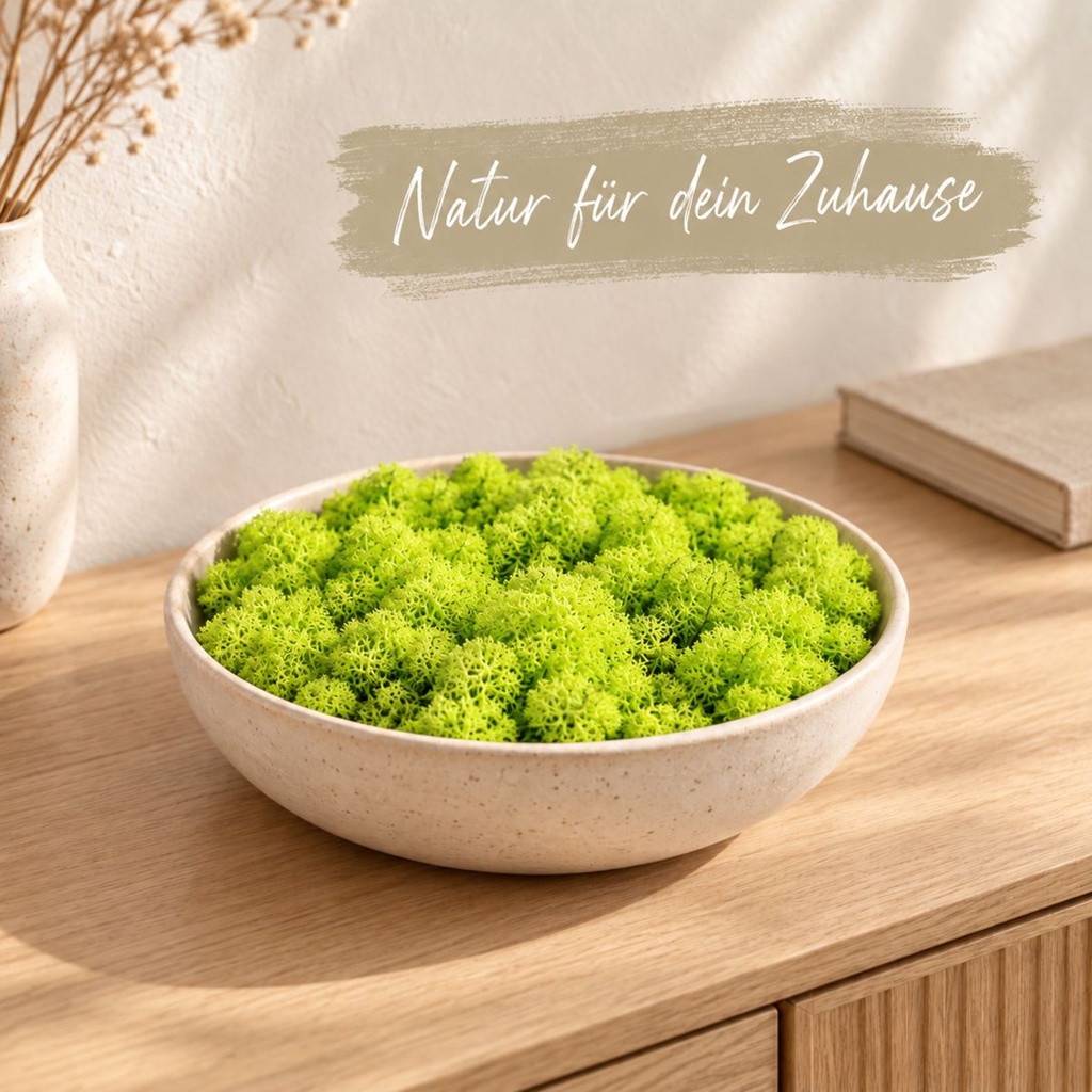 Islandmoos Grasgrün hell, Grasgrün hell, 500 g – dekoriert im Wohnraum