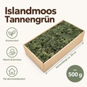 Islandmoos Tannengrün, Tannengrün, 500 g – Maße und Liefermenge auf einen Blick