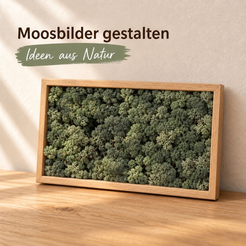 Islandmoos Tannengrün, Tannengrün, 500 g – im Einsatz