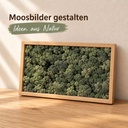 Islandmoos Tannengrün, Tannengrün, 500 g – im Einsatz