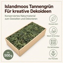 Islandmoos Tannengrün, Tannengrün, 500 g – Eigenschaften im Überblick