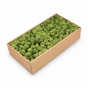 Islandmoos Waldgrün, Waldgrün, 500 g – Produktfoto auf weißem Hintergrund