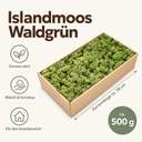 Islandmoos Waldgrün, Waldgrün, 500 g – Maße und Liefermenge auf einen Blick