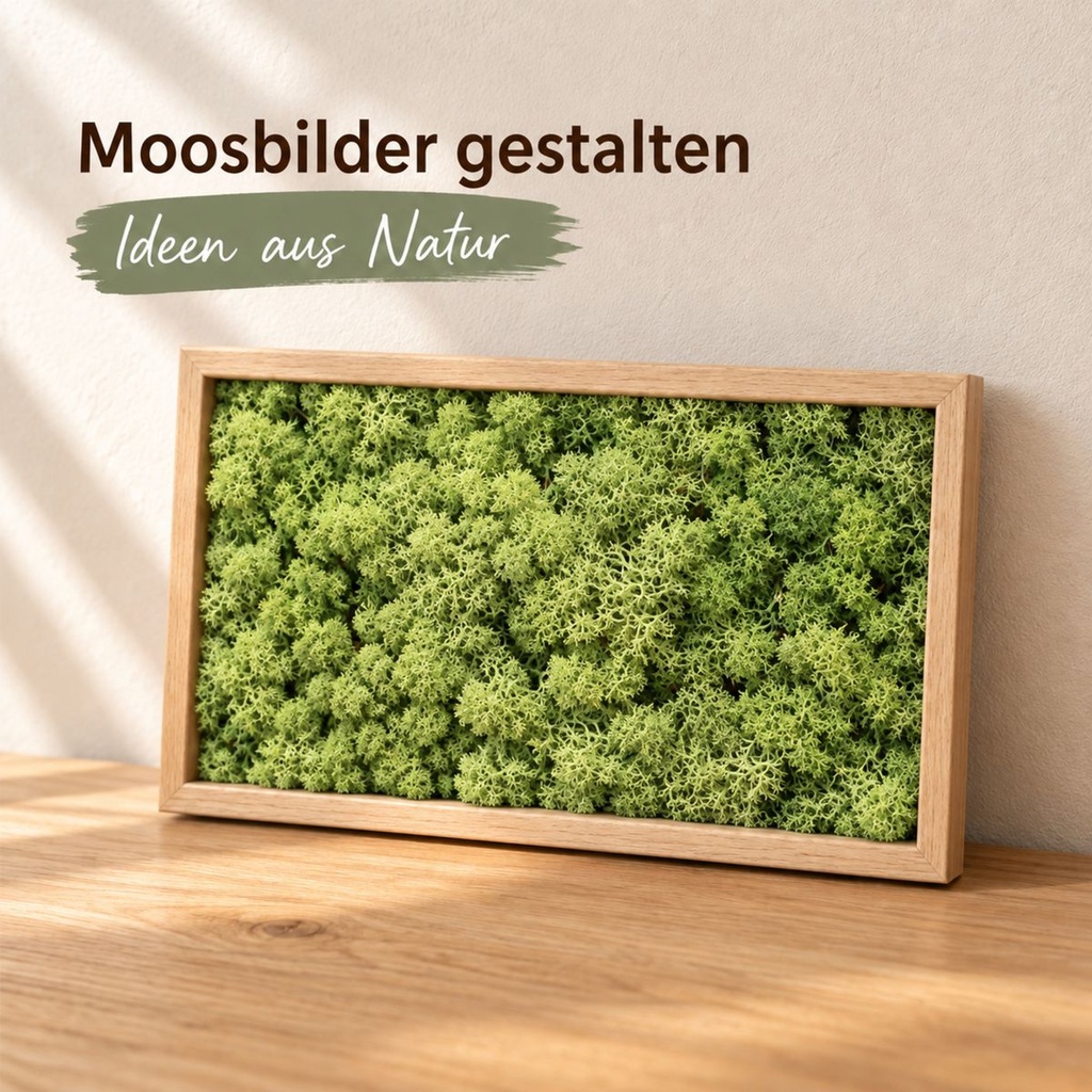 Islandmoos Waldgrün, Waldgrün, 500 g – im Einsatz