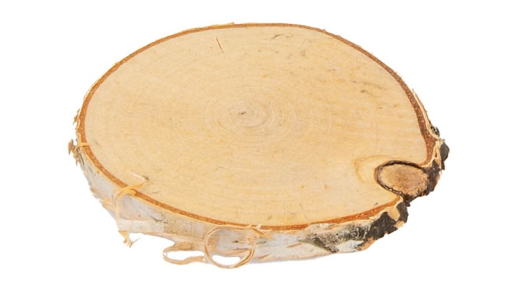 Birkenscheiben Natur rund Ø 3-6cm ca. 25 2