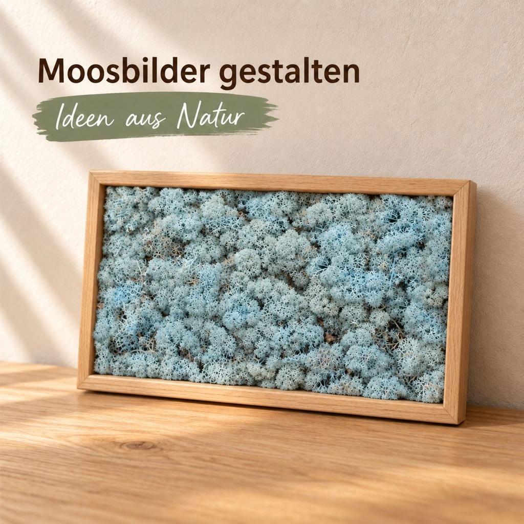 Islandmoos Aquamarin, Aquamarin, 500 g – im Einsatz