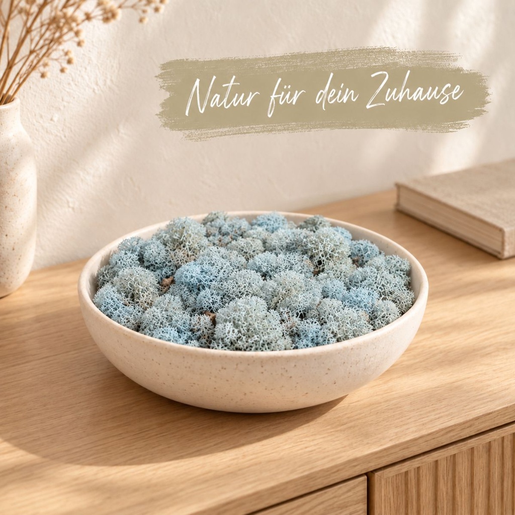 Islandmoos Aquamarin, Aquamarin, 500 g – dekoriert im Wohnraum