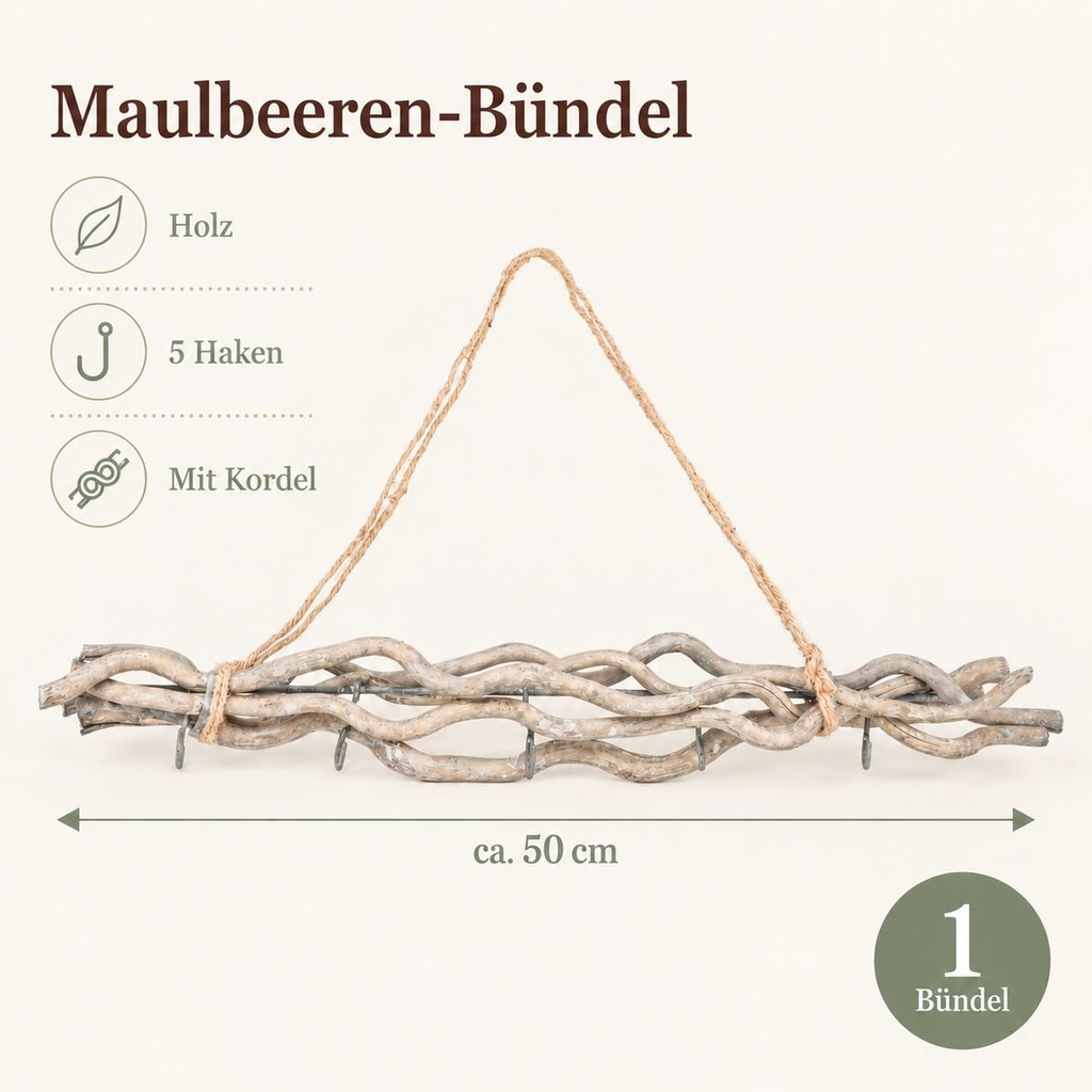 Maulbeeren Bündel grau, grau, 50 cm (Morus) – Maße und Liefermenge auf einen Blick