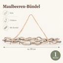 Maulbeeren Bündel grau, grau, 50 cm (Morus) – Maße und Liefermenge auf einen Blick
