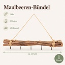 Maulbeeren Bündel natur geflammt, natur geflammt, 50 cm (Morus) – Maße und Liefermenge auf einen Blick